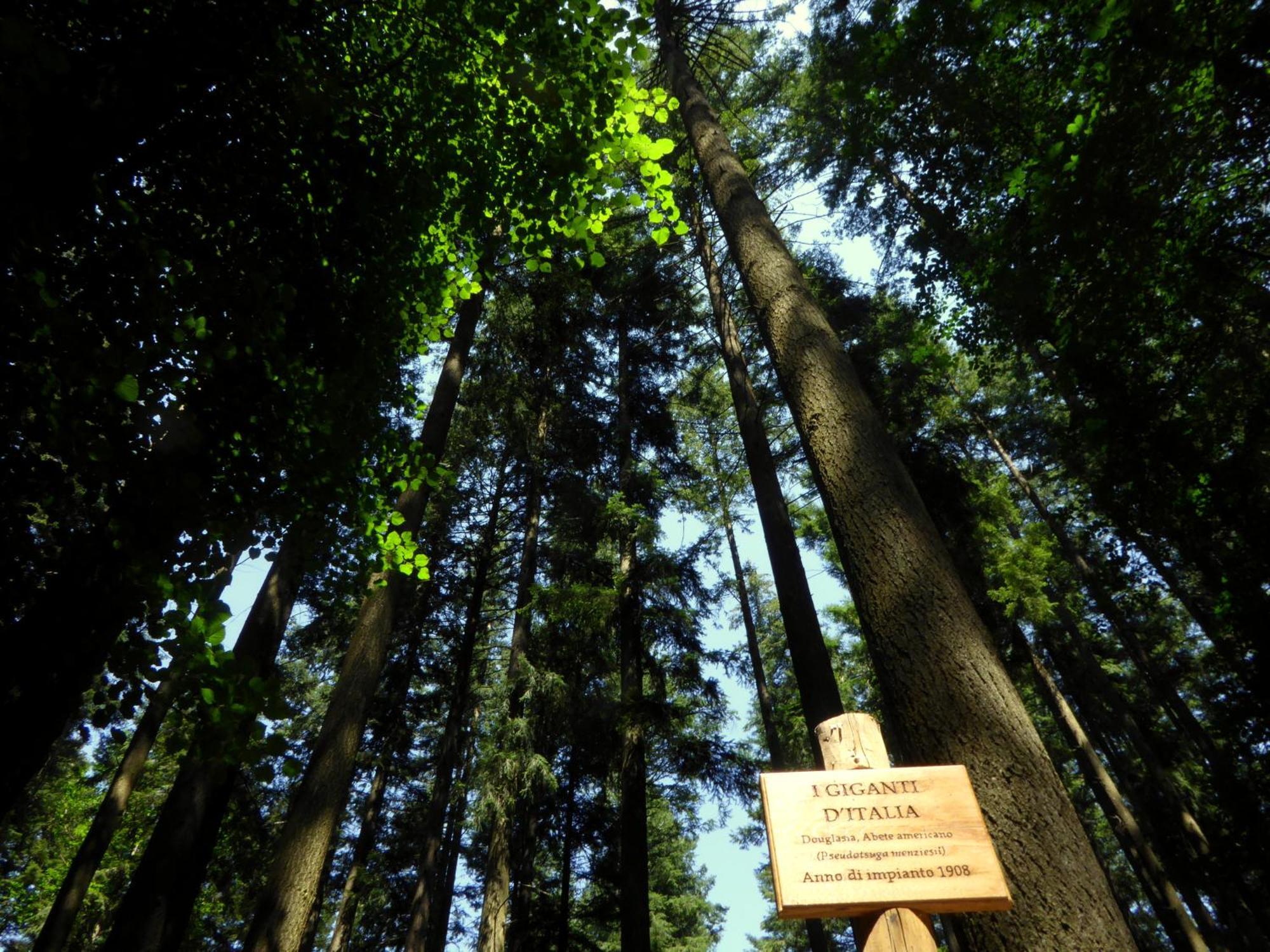 ולומברוזה Hotel Rifugio La Foresta מראה חיצוני תמונה